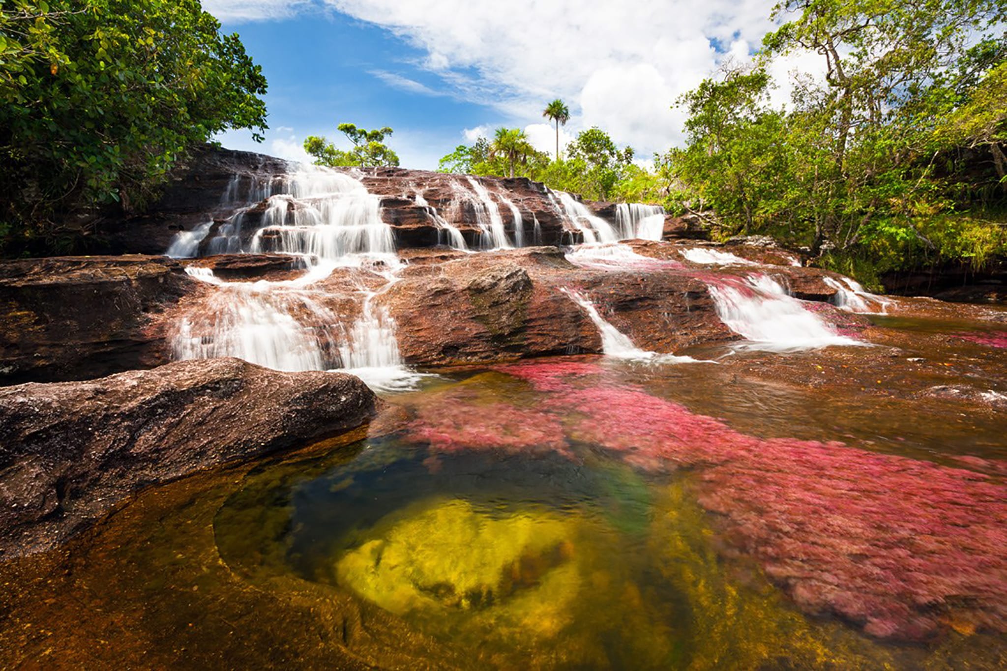 Caño cristales