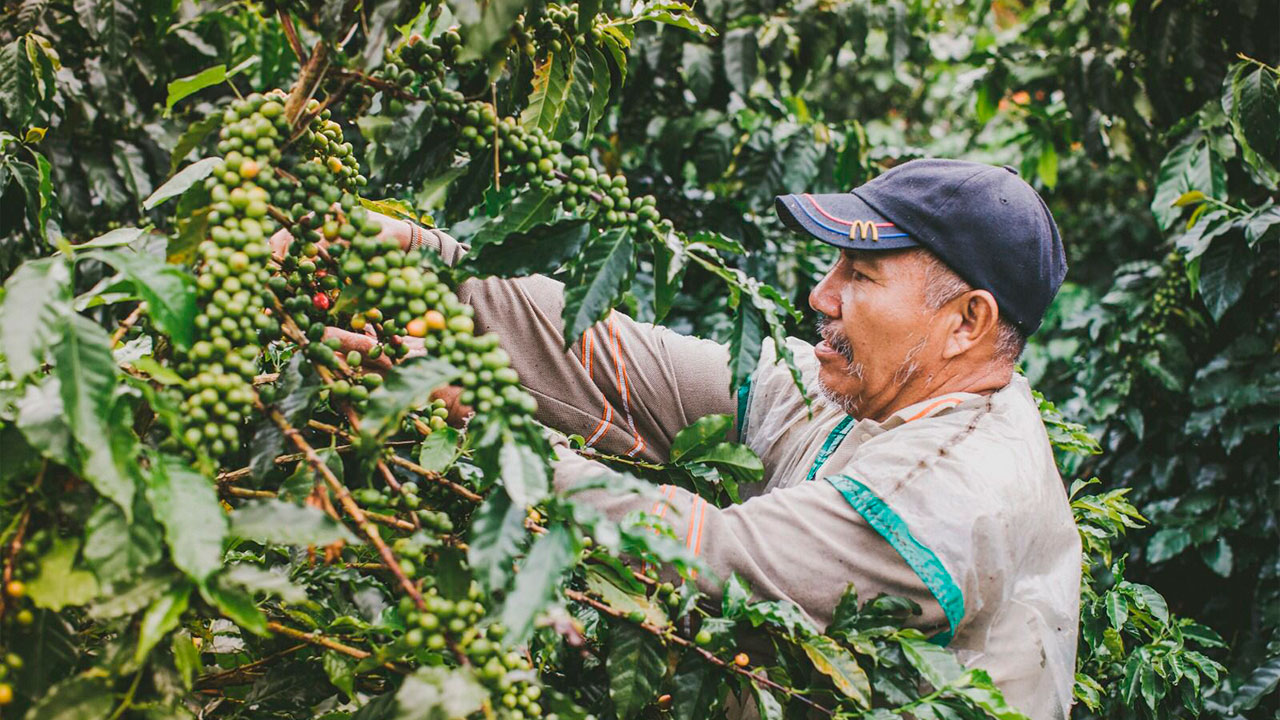 Industrialización y turismo