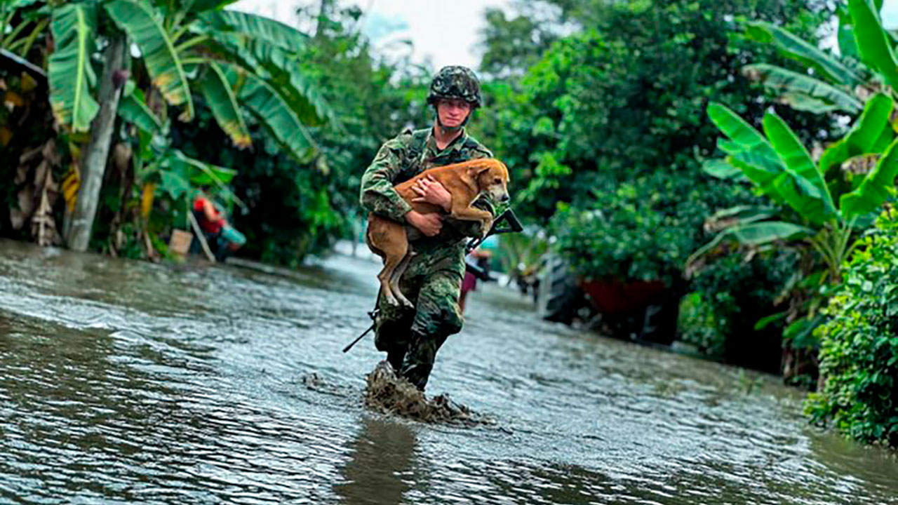 Soldados y policías